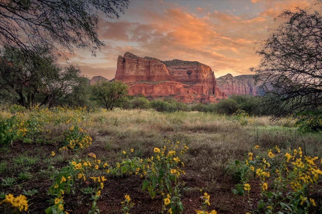 100 Bell Rockcondo- Kaibab Condo سيدونا المظهر الخارجي الصورة